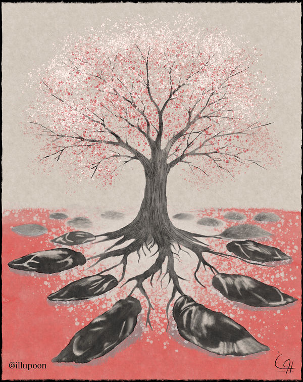 The Cherry Tree, iran revolution 2026 by Pooneh Nik