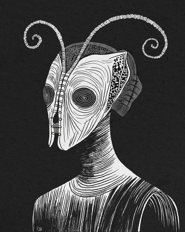 Butterfly mask, masks & duality by Pooneh Nik