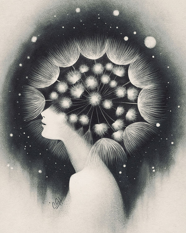 Dandelion, myth & fantasy by Pooneh Nik
