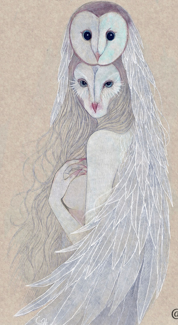 Tyto, women & nature by Pooneh Nik