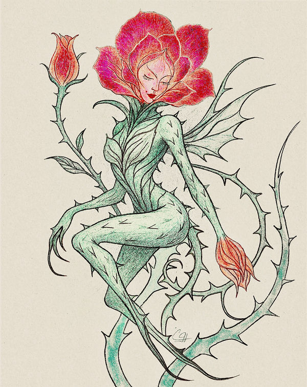 Verdalis, women & nature by Pooneh Nik